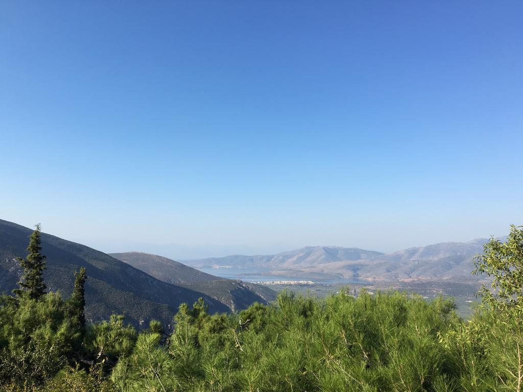 Delphi Palace 외부 사진
